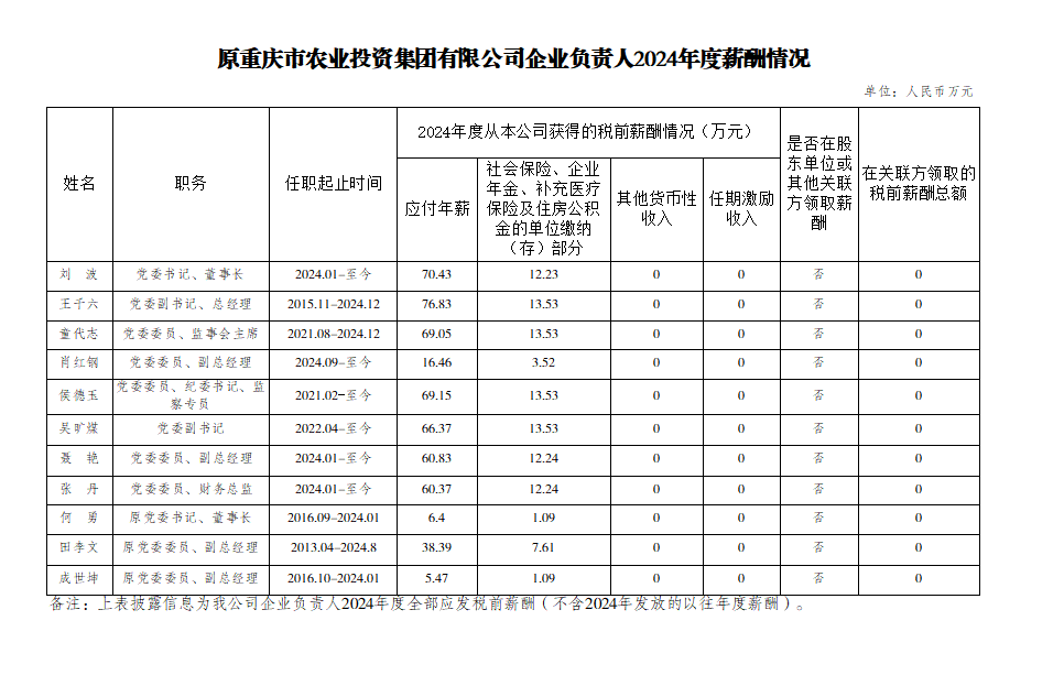 原重慶市農(nóng)業(yè)投資集團有限公司企業(yè)負責人2024年度薪酬情況.png